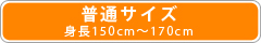 普通サイズ