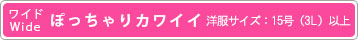 ワイドサイズ
