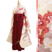 振袖袴： R065 クリーム 胡蝶蘭☆(R743)│ 袴レンタル │ 京都着物