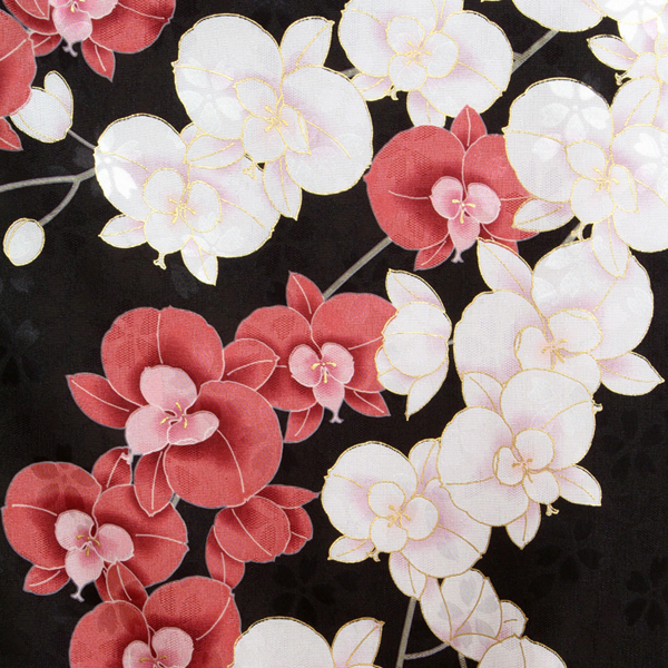 振袖袴： R1496 【訳あり】黒 胡蝶蘭（R66 R192）(宅)袴☆│ 袴