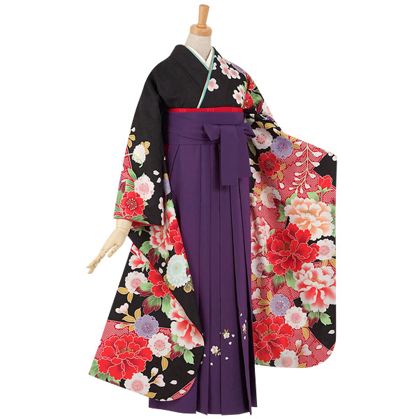 振袖袴：H R1899 【訳あり】黒 絞り柄に牡丹と梅・菊(R403)│ 袴