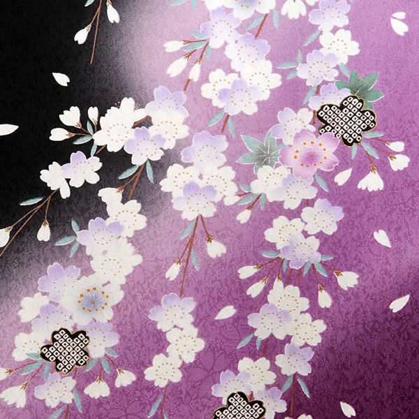 振袖袴： R244 黒紫ぼかし しだれ桜に短冊(絹)│ 袴レンタル