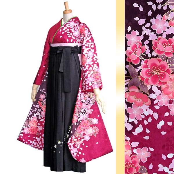 振袖袴： R600 【訳あり】ワインレッド 桜づくし(宅)（R234）│ 袴