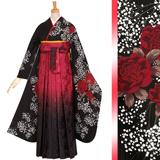 振袖袴： R957 【訳あり】黒 深紅の薔薇とかすみ草(R183)☆袴(宅