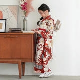 七五三七歳四つ身：N160 紅一点 【正絹】赤 梅に松 | 七五三着物
